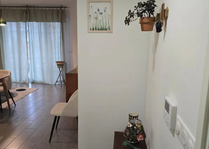 Apartment Cozy Renovated Behind Station *